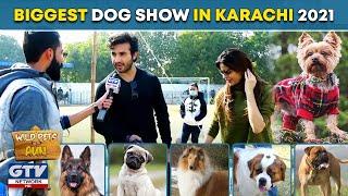 Biggest Dog Show in Karachi | Wild Pets | Season 2 | 24 January 2021