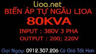 May Bien Ap Tu Ngau 80kVA-Lioa 80kVA-Input 380V Output 200V & 220V