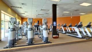 The Zoo Health Club | Derry, NH | Health Clubs