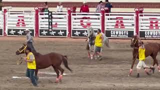 Bareback Relay Horse Racing at the Calgary Stampede 2024 (Race 2)