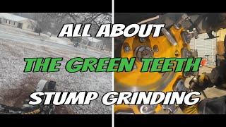 UPDATE ON TREE JOB - WHY I USE GREEN TEETH FOR GRINDING