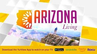 Fireplace Trends With Arizona Fireplaces | YurView
