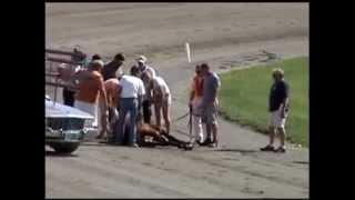 Out & About~Maine. The Windsor Fair with a Harness racing crash.