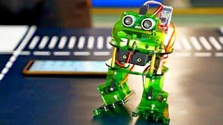 Robot Dancing Frog. Constructor for adults. Arduino for beginners.