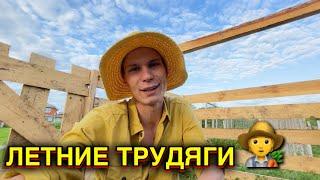 ТРУДОВЫЕ ЛЕТНИЕ БУДНИ НОВАЯ КОЗОЧКА, Обход огорода - Какие новости ещё 