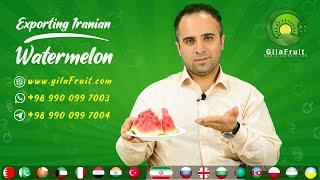 Iranian watermelon | buy,export and import of watermelon from Iran worldwide