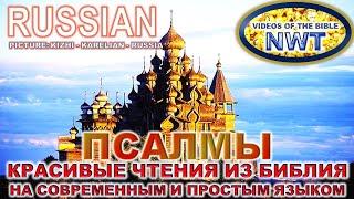 КРАСИВОЕ ЧТЕНИЕ /ПСАЛМЫ/ БИБЛИЯ П.Н.М. СВЯЩЕННОЕ ПИСАНИЕ 2007- СОВРЕМЕННЫЙ И ПРОСТОЙ ЯЗЫК