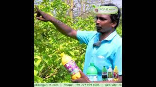 [ Tamil ] Guava Online Farmer Mr. Suresh  giving feedback about our Products
