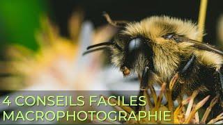 Macrophotographie: 4 conseils et astuces