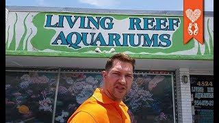 Coralust Visits Living Reef Aquariums