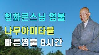 나무아미타불 빠른염불 청화큰스님 염불 8시간 천도법문기도 | 청화스님 염불수행 南無阿彌陀佛 念佛