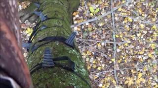 Ohio Rut Nov 6 hunt video- Bullman Outdoors