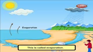 Cbse 4th CBSE SCIENCE | Air, Water & Weather |  NCERT | CBSE Syllabus | Animated Video