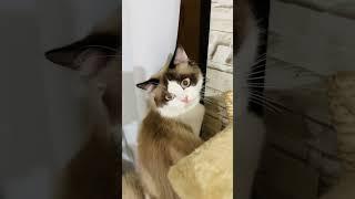 What are you looking at, V? 