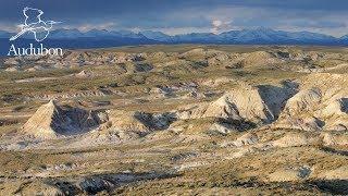 Sagebrush Country | National Audubon Society