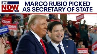 Trump cabinet: Marco Rubio expected to be named as Secretary of State | LiveNOW from FOX