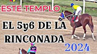 FIINAL DE LEYENDA RODHENDRICK VS TEMPLARIO #hipicatv #oficialinh #larinconada