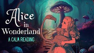 Reading of Alice in Wonderland - full audiobook - Story Reading for Sleep - Relaxing Reading