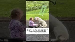 别不开心了喂 我的萌宠萌宠出道计划治愈精神抚慰犬狗狗@DOU+小助手