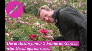 David Austin Junior’s Fantastic Garden with Great tips on roses