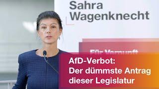 AfD-Verbot: Der dümmste Antrag dieser Legislatur