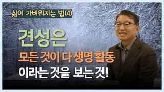 [김쌤의 정견특강]  #126 . 삶이 가벼워지는 법(4). 견성은 모든 것이 다 생명활동이라는 것을 보는 것