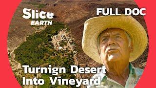 From Desert to Vineyard: The Comondú Oasis Story, Mexico  | SLICE EARTH | FULL DOCUMENTARY