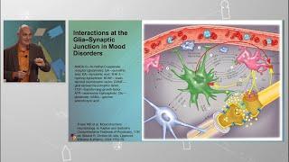 “Parceria bipp + NEI”: “COMPREENSÃO EVOLUTIVA DO PAPEL DA INFLAMAÇÃO NA SAÚDE MENTAL” - Parte 3