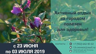 Активный отдых за городом для здоровья - Оздоровительный центр Живой Источник в Молоково