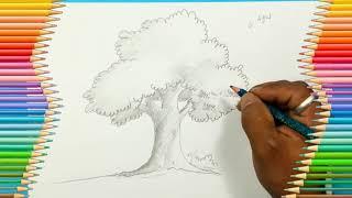 How to draw and shade on tree