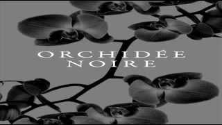 ORCHIDÉE NOIRE - J N V I