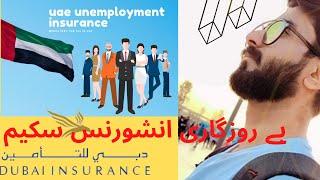 How To Subscribe UAE Unemployment Scheme/Unemployment Insurance