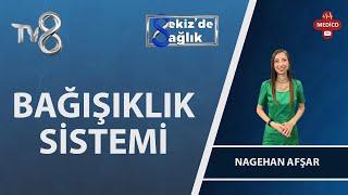 Bağışıklık Sistemi | Uzm. Dyt. Nagehan Afşar | 8'de Sağlık