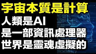 宇宙的本質是計算，人類是AI，是一部資訊處理器，可以大膽宣稱，這個世界是靈魂虚擬的，你才是虛擬出一切事物的根源，你的名字，叫做靈魂、觀察者或高維意識。