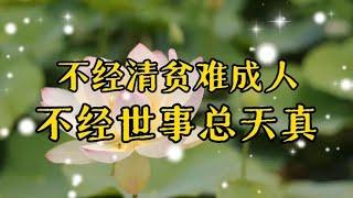 散文诵读《不经清贫难成人，不经世事总天真》一路走来，诸多不易