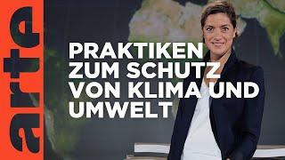 Umwelt und Klima: Welche Länder sind am "grünsten"? | Mit offenen Karten | ARTE