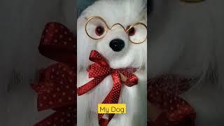 My Dog  #shorts #youtibeshorts #shortvideo #pet