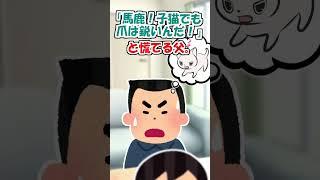 【2ch】独り暮らしの父が猫を飼いだしたけど…【アニマル】 #Shorts