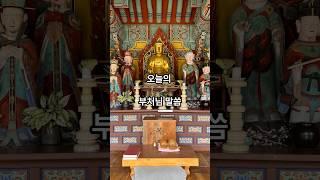 6월 20일 오늘의 부처님 말씀. #불교 #명언 #힐링 #명상