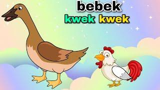 Bebek Kwek Kwek Bebek Nyosor Lagu Anak Anak Lucu