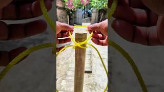 Believe it is the king of knot 🪢🪢 #diyknot #bowline