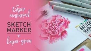 ОБЗОР МАРКЕРОВ SKETCHMARKER + РИСУЕМ ПИОНЫ · Все про спиртовые маркеры