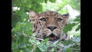 Marwell Zoo Trip - (August 2017)