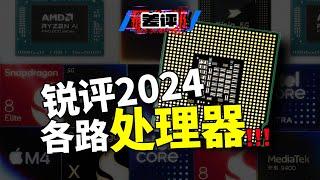 锐评2024各路处理器！2024年全球CPU批斗大会：谁强谁弱，咱们挨个唠唠！【差评硬件部】