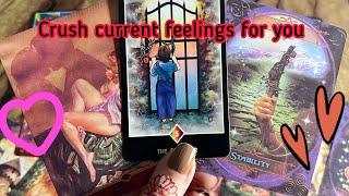 Crush feelings/ emotions for you️‍ Crush current feelings | Hindi tarot card