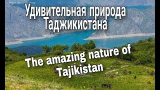 Удивительная природа Таджикистана. The amazing nature of Tajikistan.  طبیعت تاجیکستان . Точикистон