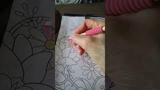 adult coloring of pink  daisies  flowers subscrbie