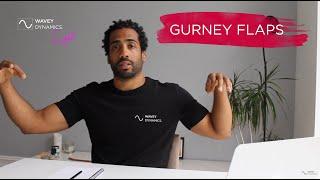 Insights 002 | Gurney Flaps