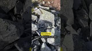 Перший похід очікування/реальність