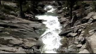 Healing From Cancer (Preview 1: 'The Healing Image' Guided Imagery Meditation) - Dr. Emmett Miller